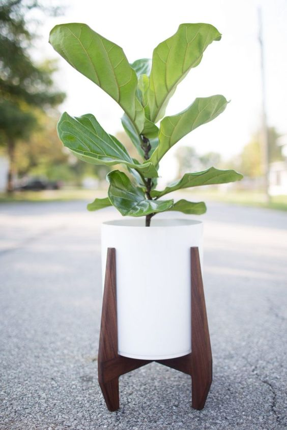 STL file Planter on foot・3D printer model to download・Cults